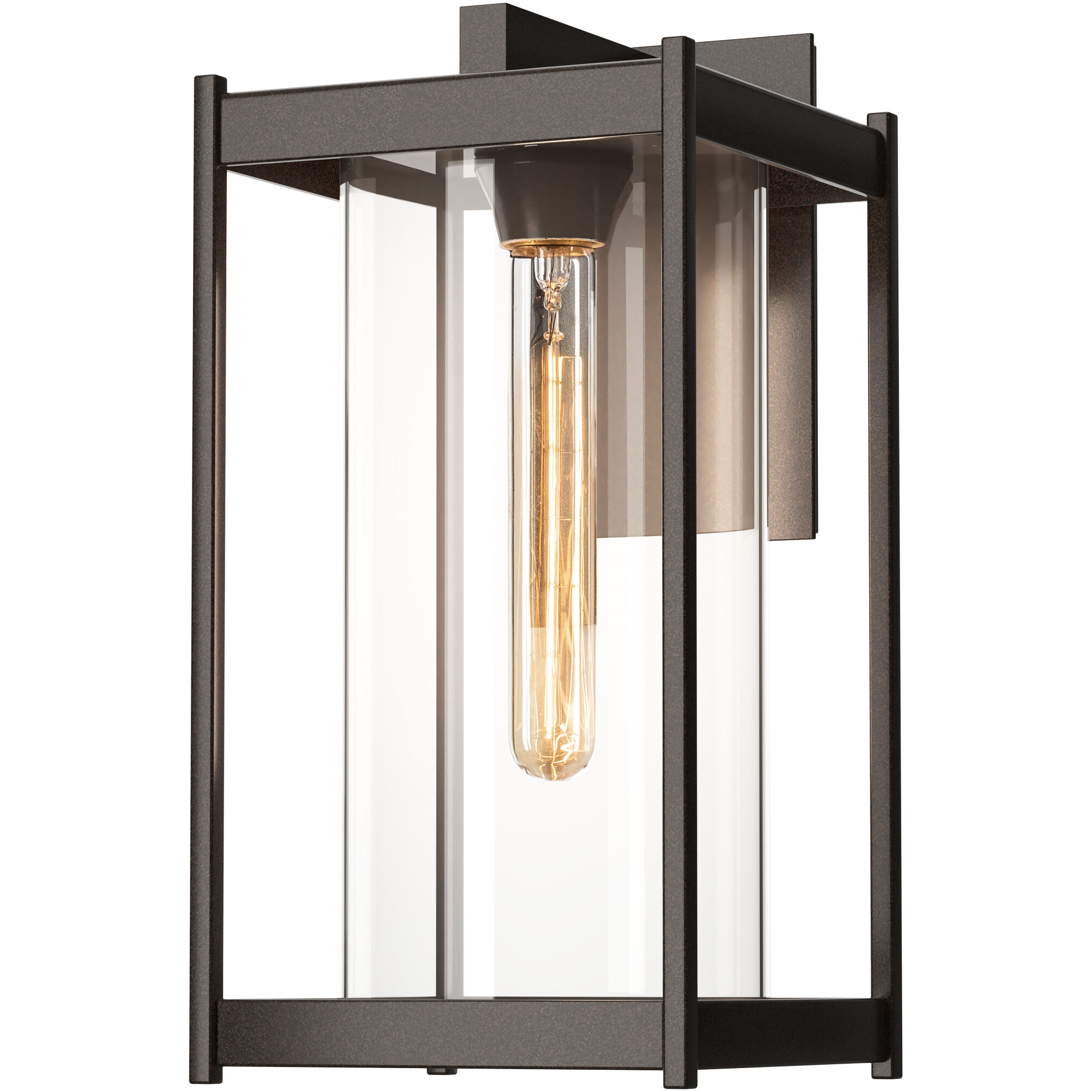 Cela 1 Light 16.3 inch Coastal Bronze Outdoor Sconce in Clear, Large