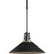 Henry 1 Light 14.4 inch Coastal Black Outdoor Pendant, Medium