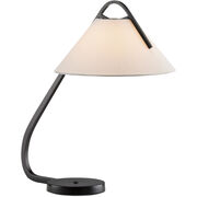 Desk Lamps