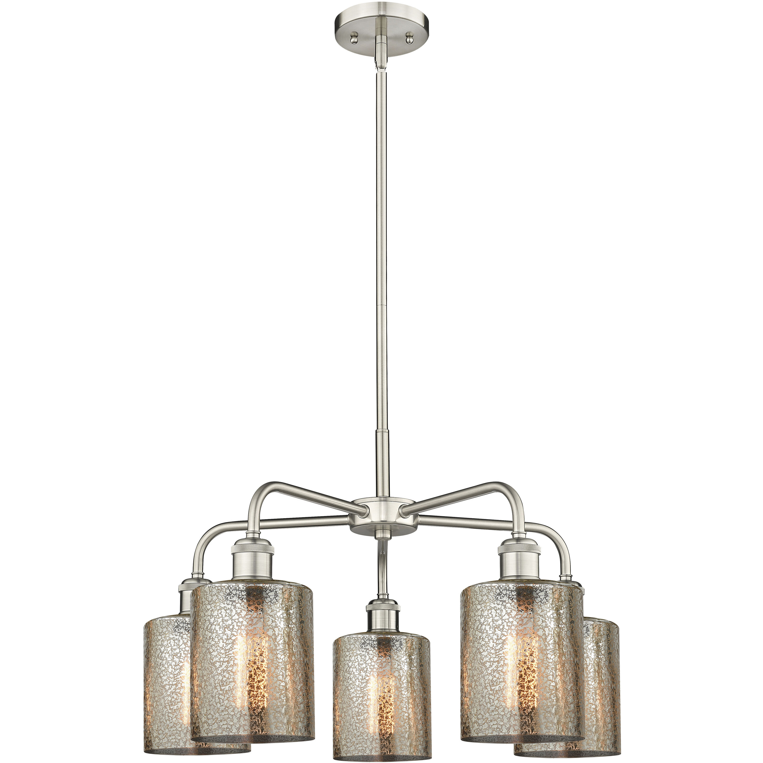 Cobbleskill 5 Light 23.00 inch Chandelier