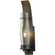 Sea Coast 1 Light 18.6 inch Coastal Natural Iron Outdoor Sconce in Seeded Clear