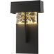 Shard LED 14.1 inch Coastal Burnished Steel Outdoor Sconce, Large