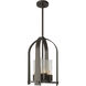 Triomphe 4 Light 13 inch Coastal Dark Smoke Outdoor Lantern in Seeded Clear