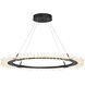 Anemone LED 36.9 inch Black Pendant Ceiling Light, Circular