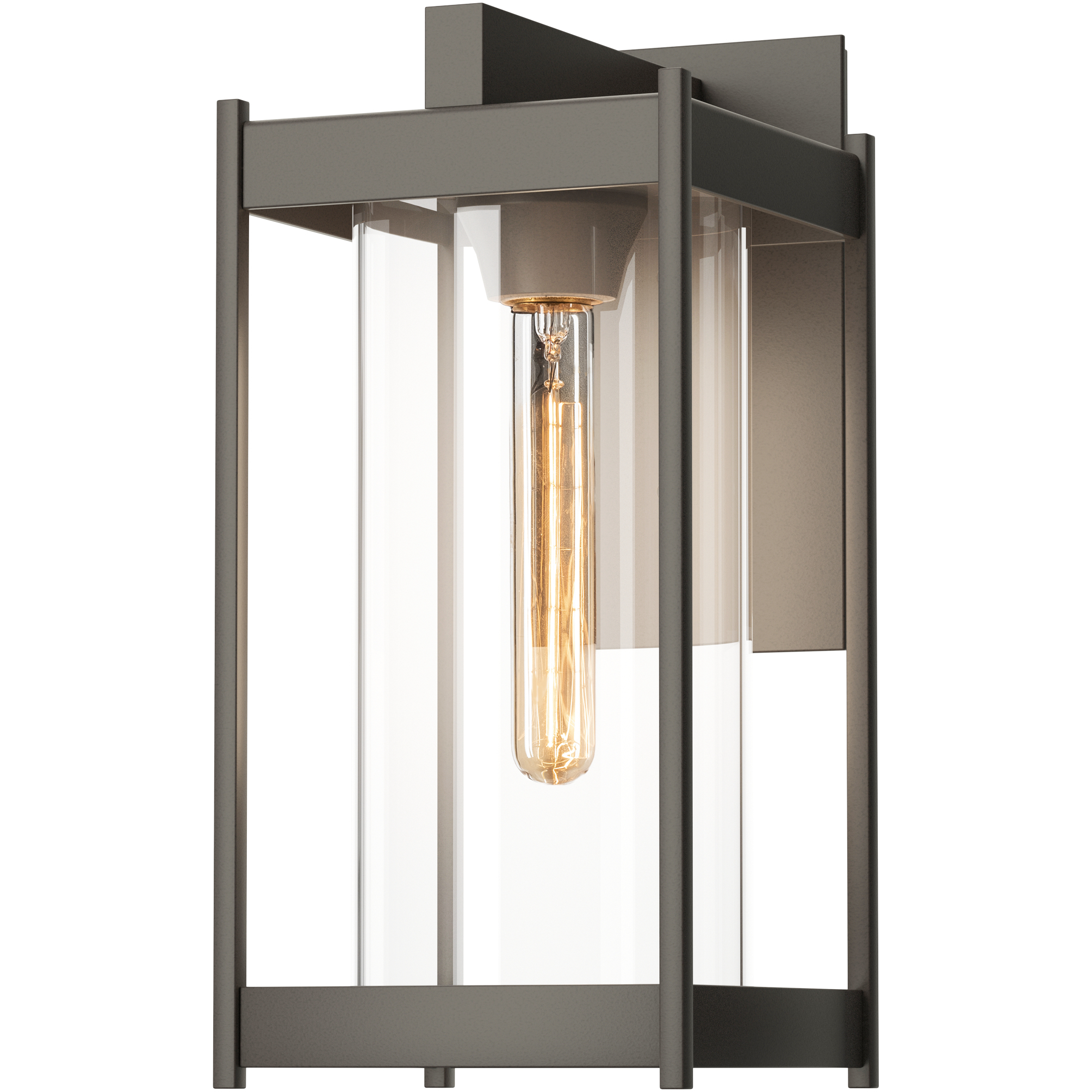 Cela 1 Light 13.6 inch Coastal Dark Smoke Outdoor Sconce in Clear, Medium